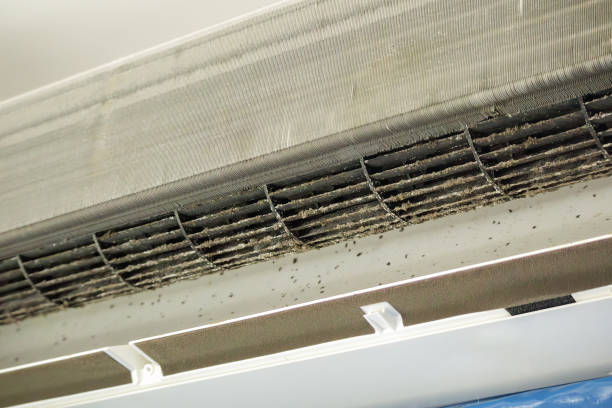 Best Ventilation System Cleaning in Judsonia, AR